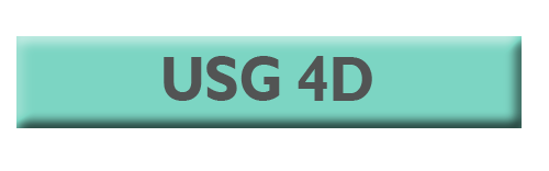 USG 4D